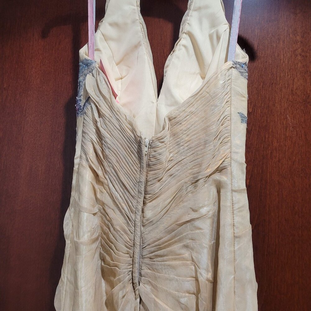 Blush Prom 9368 Size 2 Champagne Prom Dress - Picture 12 of 12